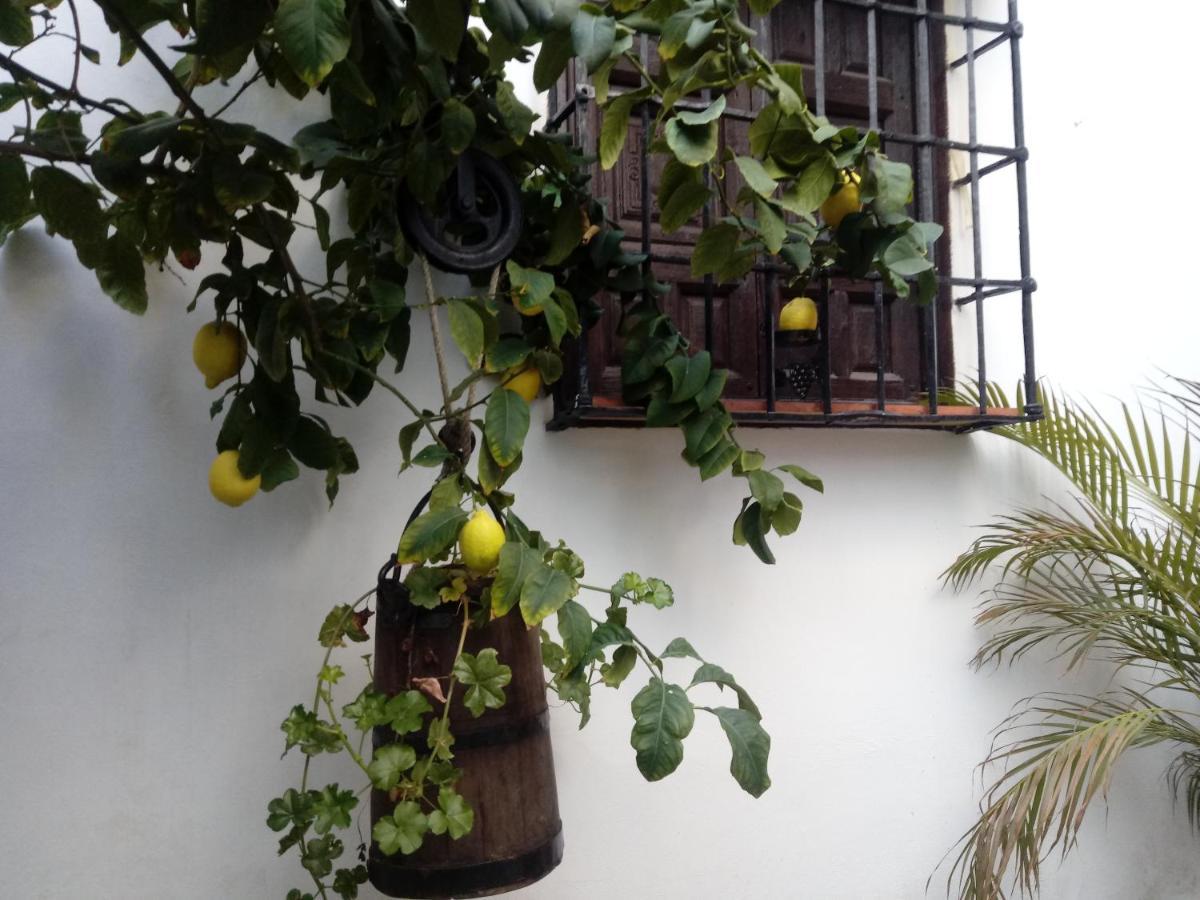 Fery & Nico Appartement Granada Buitenkant foto